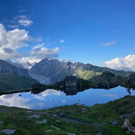 Apartamento Haus Donnerstafel 4,5 Süd Ost Bettmeralp